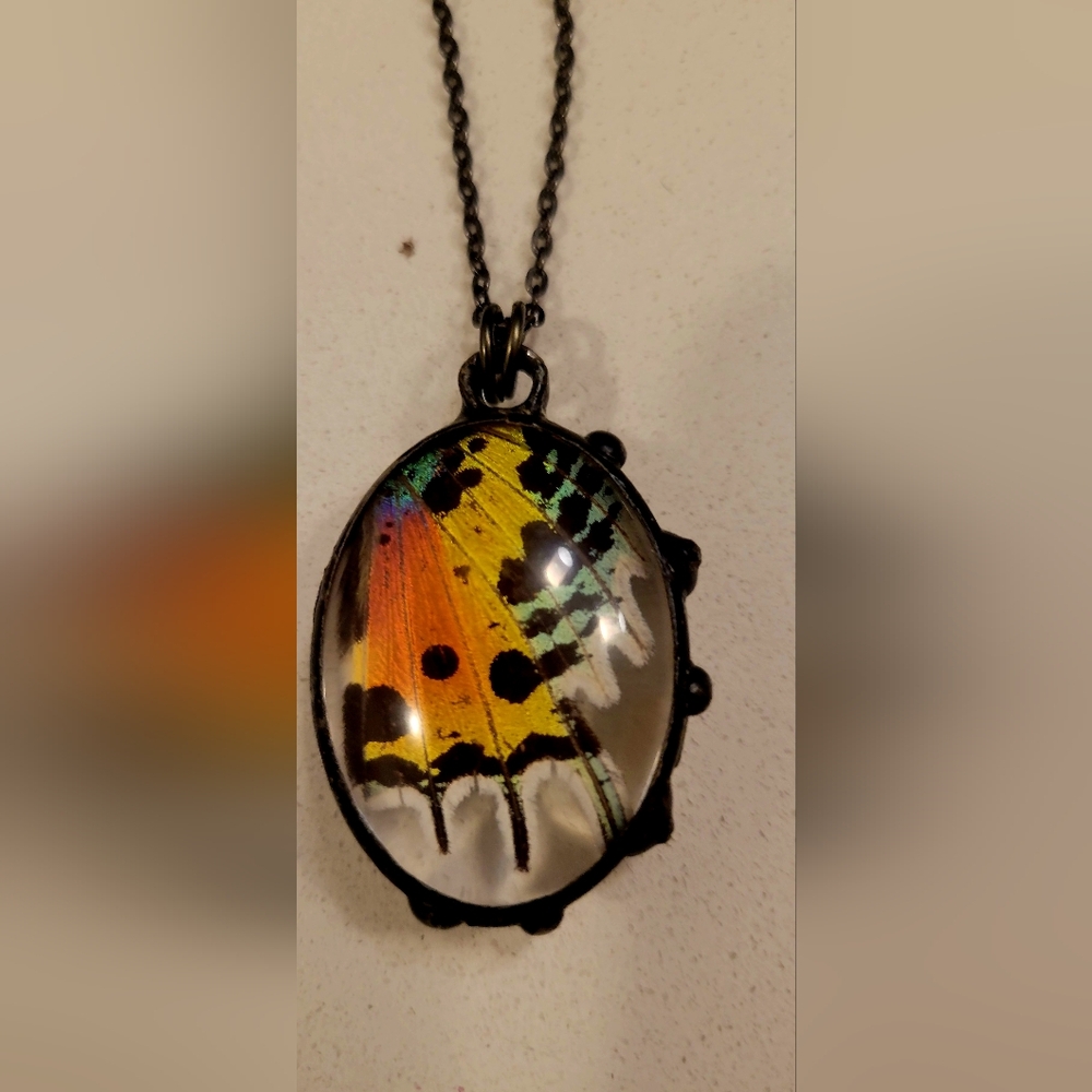 Vibrant Yellow and Black Butterfly Wing Necklace